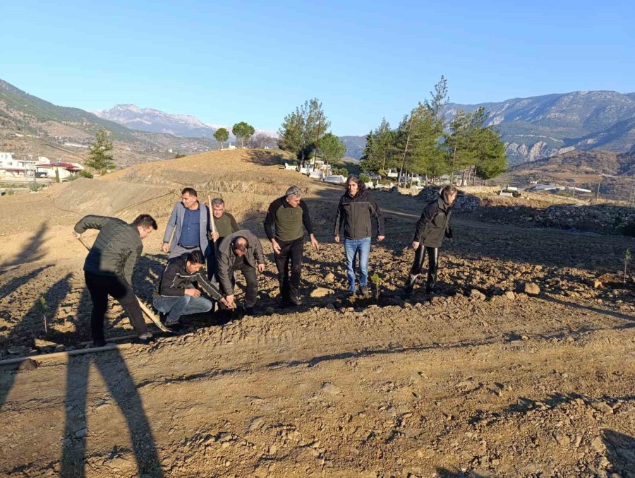 Anamur’da Fidanlar Toprakla Buluşturuldu