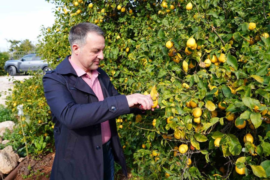 Romanya’nın Braila Belediye Başkanı Dragomir, Erdemli’ye Hayran Kaldı