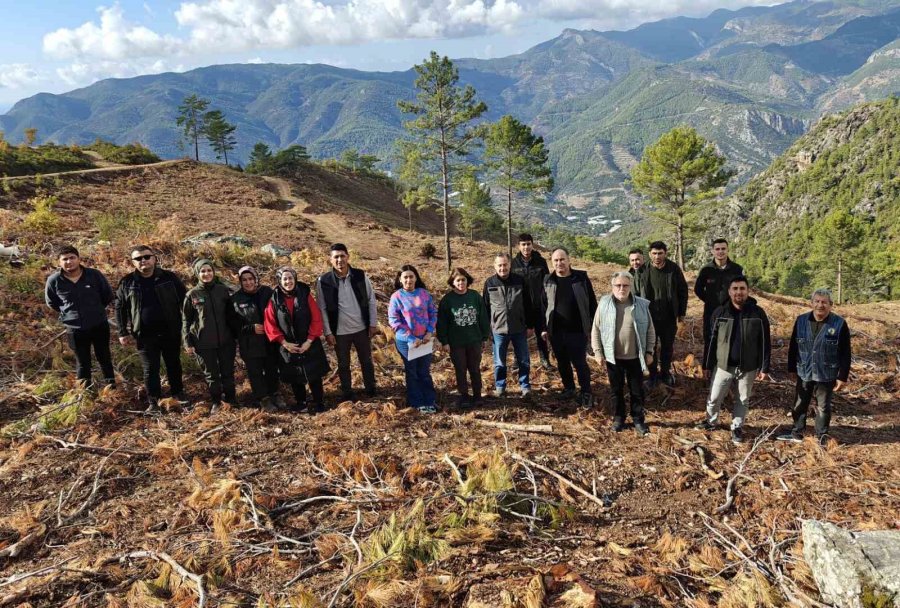 Mersin Orman Bölge Müdürlüğü 42 Bin Hektarlık Alanda Bakım Çalışması Yaptı