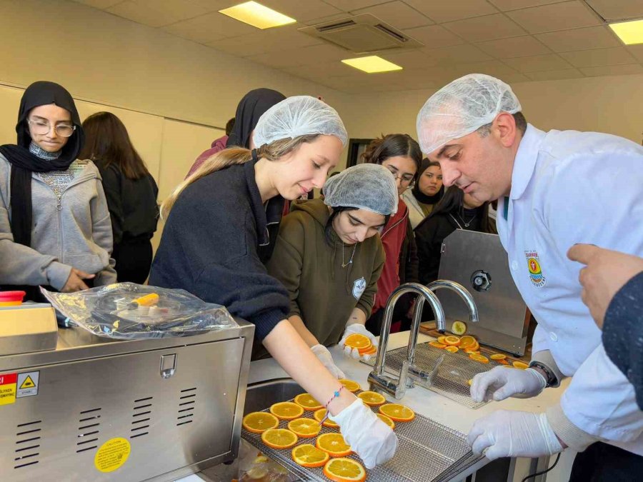 Tarsus’ta Öğrencilere Meyve, Sebze Ve Kurutma Teknikleri Eğitimi Verildi