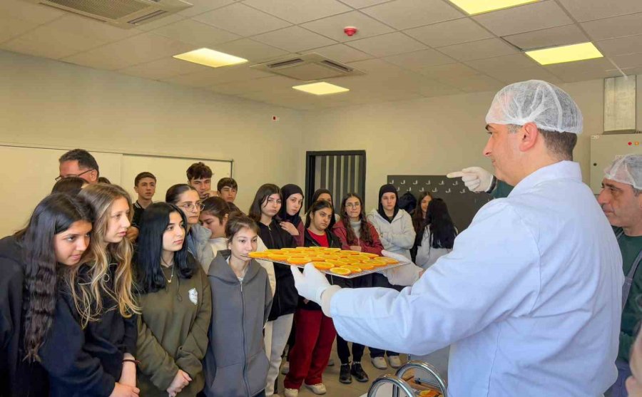 Tarsus’ta Öğrencilere Meyve, Sebze Ve Kurutma Teknikleri Eğitimi Verildi