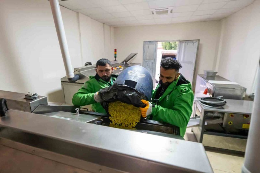 Yemek Atıkları Mamaya Dönüştürülüyor