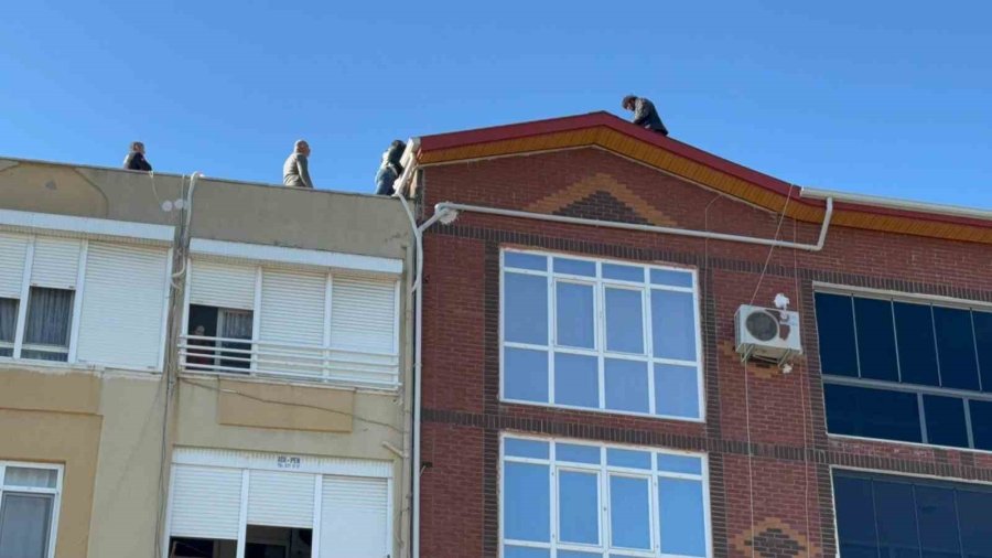 Türkiye’de Çıkmadığı Çatı Kalmadı: 231’inci Teşebbüsünü Alanya’da Yaptı