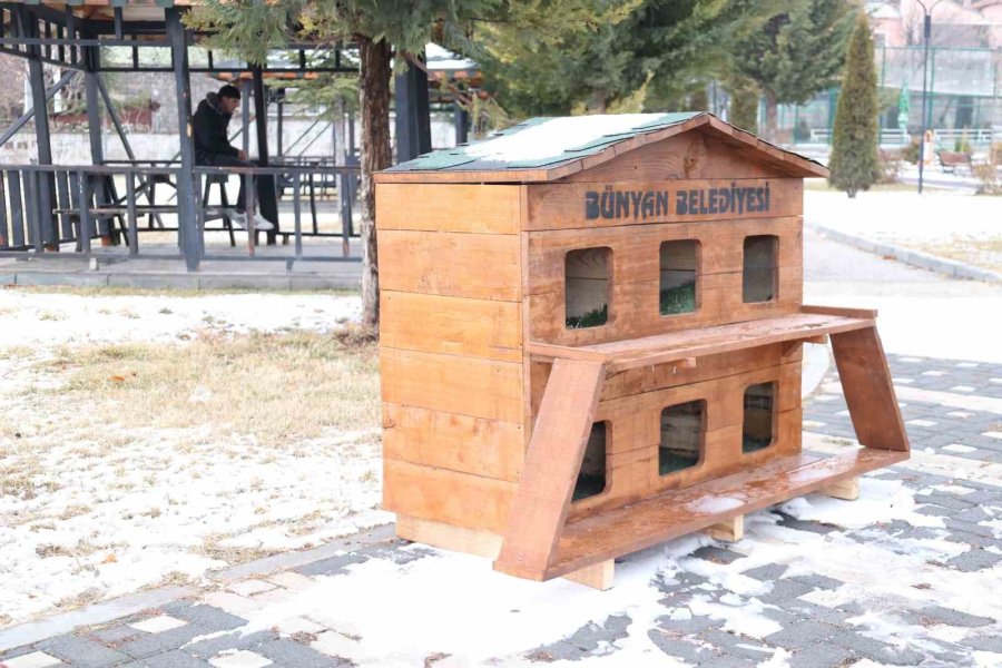 Bünyan’da Sokak Hayvanları İçin Kulübeler Yerleştirildi