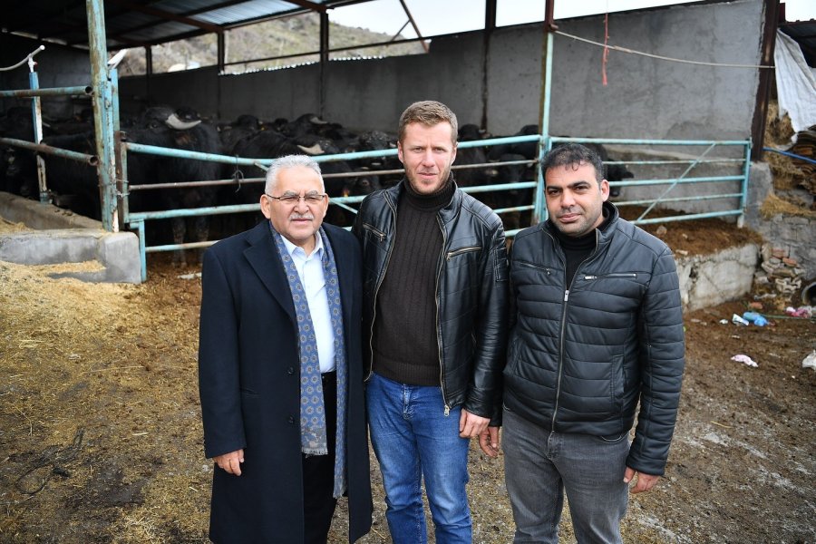 Başkan Büyükkılıç’tan Üreticilere 100 Manda
