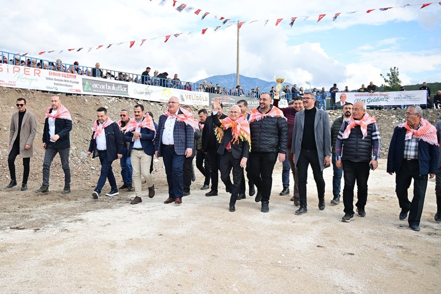 Kumluca’da Geleneksel Deve Gösterisi Nefes Kesti