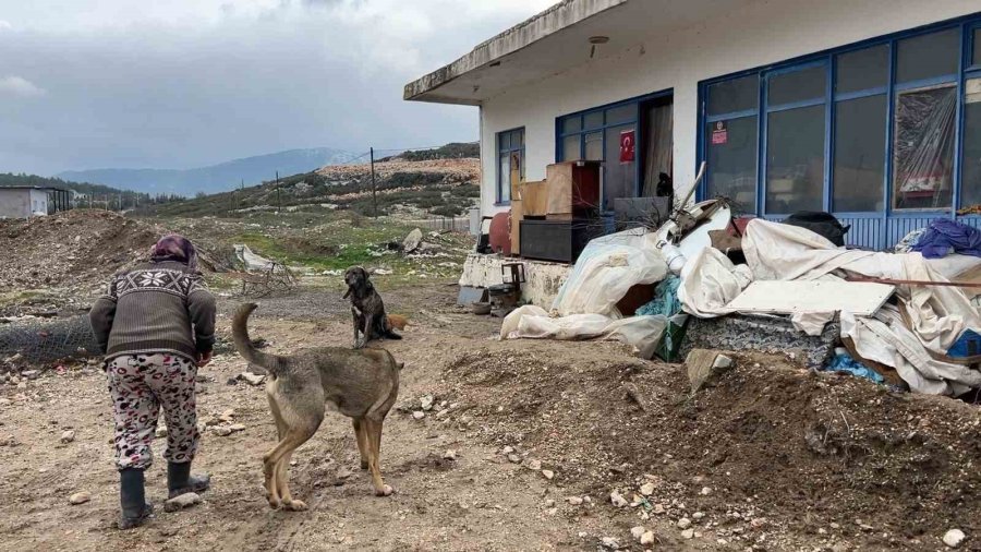Çaresiz Kadın: "belediyeye, Kaymakama Ve Muhtarlığa Gittim, Huzurevine Gitmemi Teklif Ettiler"