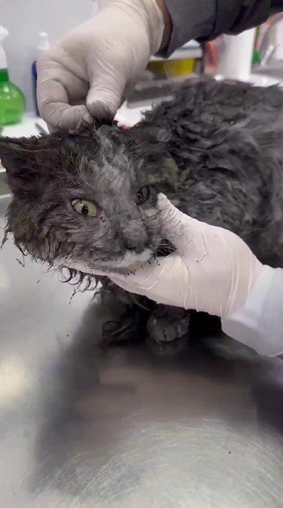 Antalya’daki 4 İşçinin Mahsur Kalıp Kurtarıldığı 12 Katlı İnşaat Yangının Boyutu Ortaya Çıktı