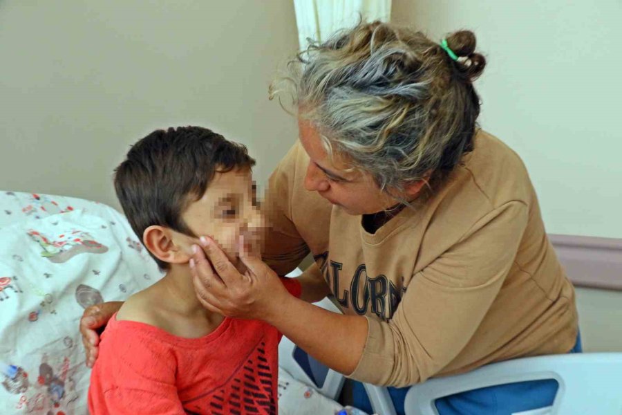 Tüm Türkiye’yi Hüzünlendiren Efe: “para Almadılar”