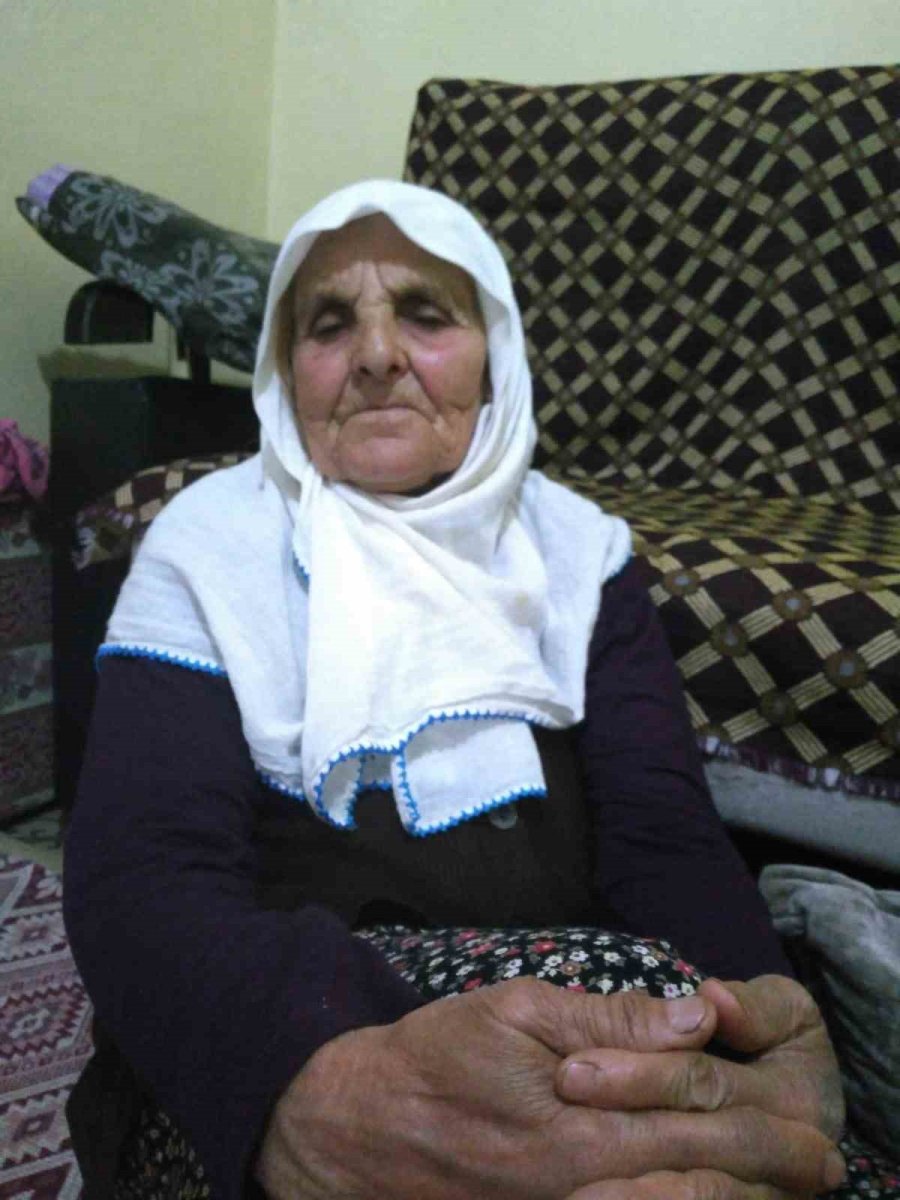 Köpeklerin Saldırısında Hayatını Kaybetmişti, Sanığa Verilen Ceza Belli Odu