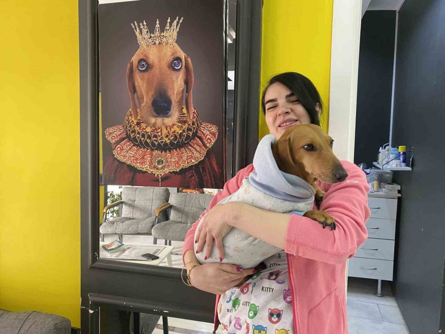 Kış Aylarında Tıpkı İnsanlar Gibi Hayvanlar Da Hasta Oluyor