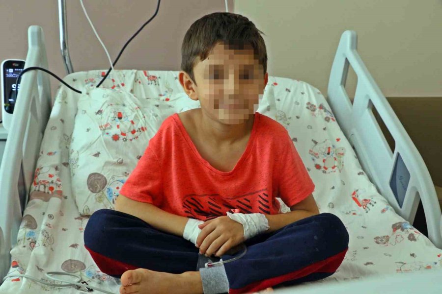 Tüm Türkiye’yi Hüzünlendiren Efe: “para Almadılar”