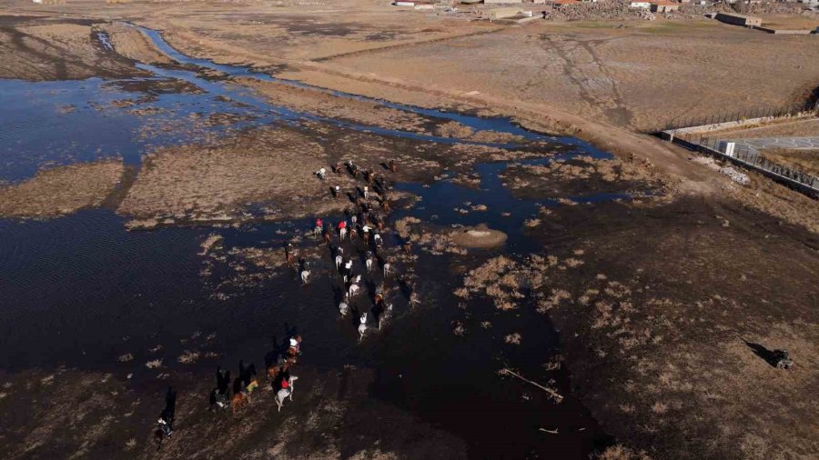 Yılkı Atları Diyarı Hürmetçi’de Atlı Safari