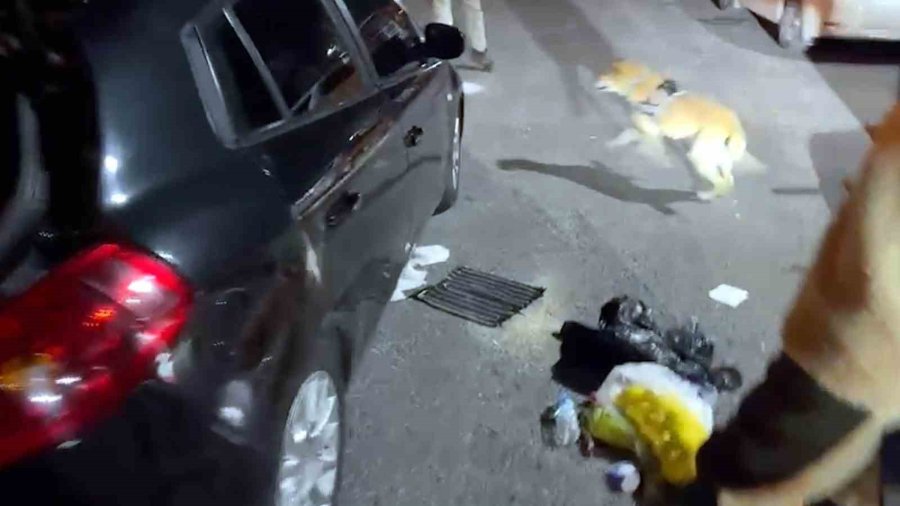 Narkotik Köpeği Jack Zehir Tacirlerine Göz Açtırmadı