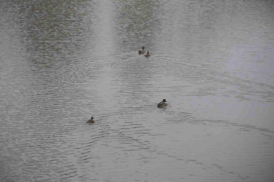Eskişehir Sis Altında