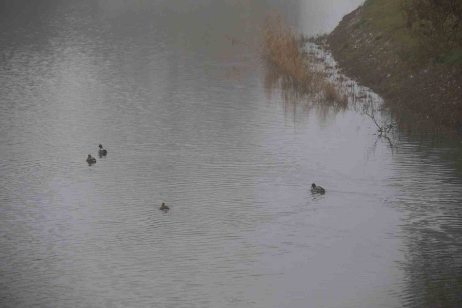 Eskişehir Sis Altında