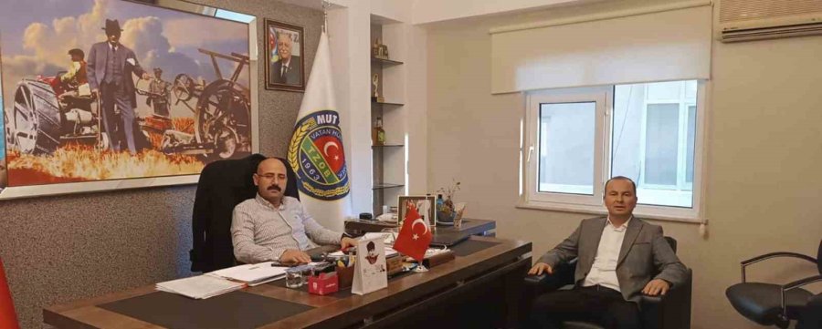 Mersin’de 150 Bin Ton Zeytin Rekoltesi Elde Edildi