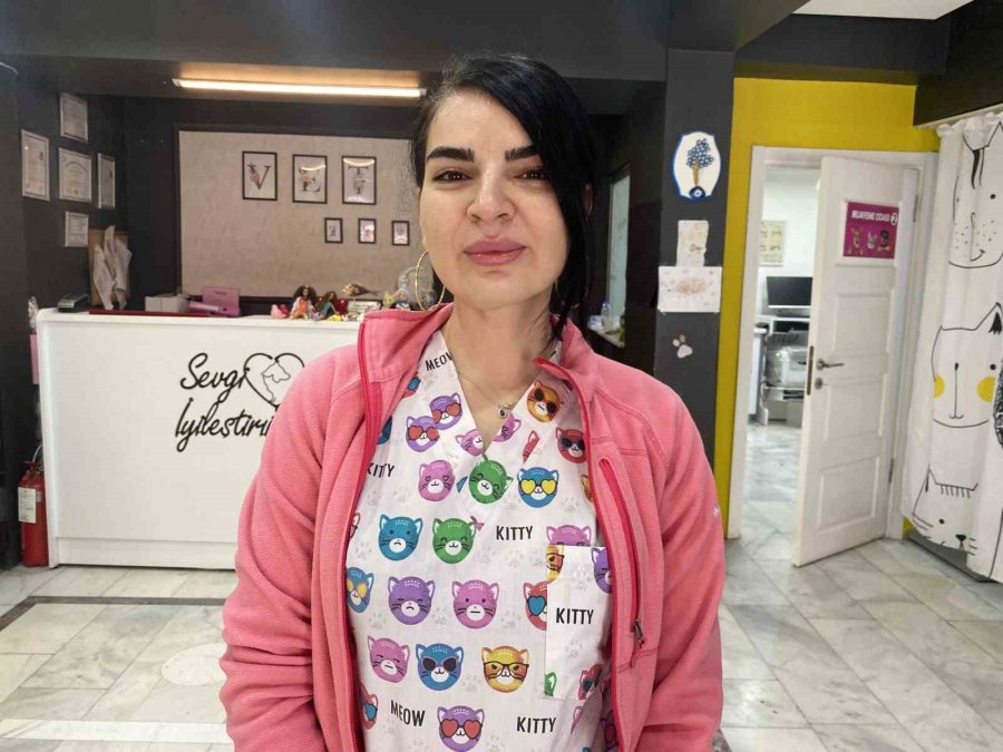 Kış Aylarında Tıpkı İnsanlar Gibi Hayvanlar Da Hasta Oluyor