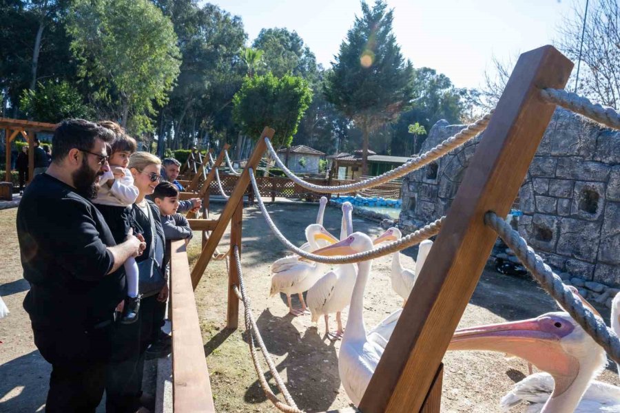 Tarsus Doğa Parkı, Yarı Yıl Tatilinde Çocukları Ağırlıyor