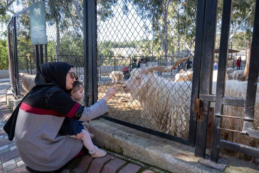 Tarsus Doğa Parkı, Yarı Yıl Tatilinde Çocukları Ağırlıyor