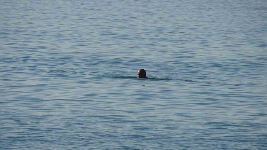 Alanya’da Sıcaklıklar 20 Derecenin Üzerine Çıktı, Plajlar Doldu