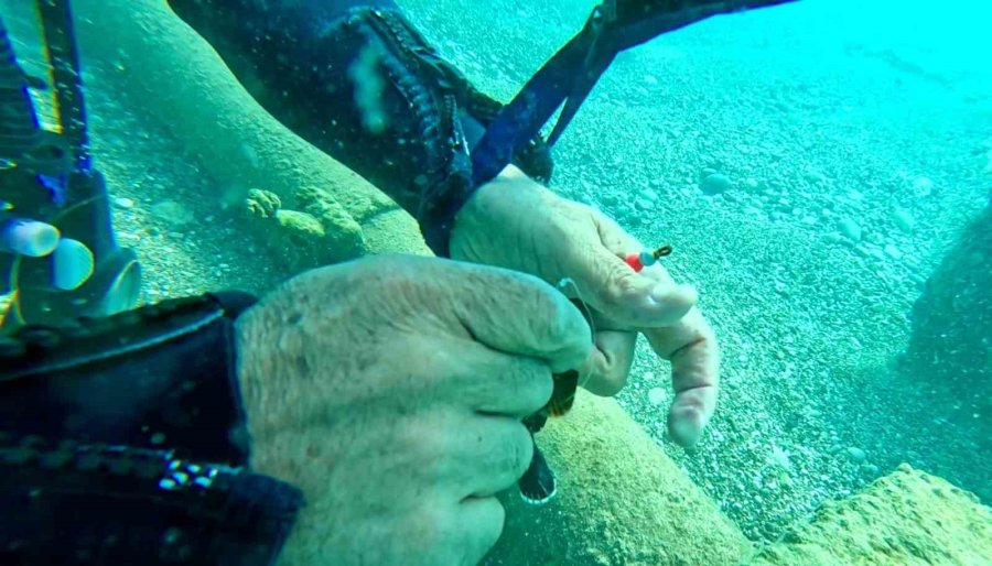 Su Altına Dalan Profesör, 2 Balığın Hayatını Kurtardı