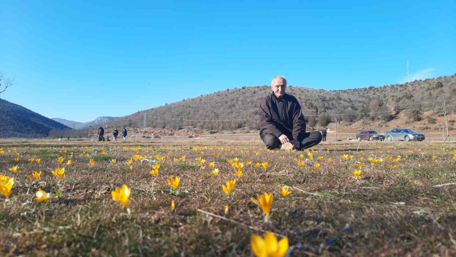 Bartlı Yaylasının Çiçekleri Ziyaretçilerini Erken Ağırlamaya Başladı