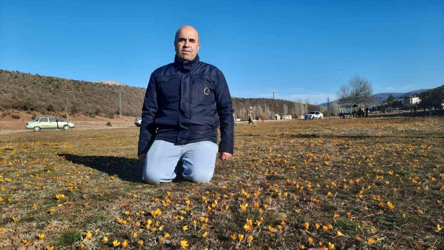 Bartlı Yaylasının Çiçekleri Ziyaretçilerini Erken Ağırlamaya Başladı