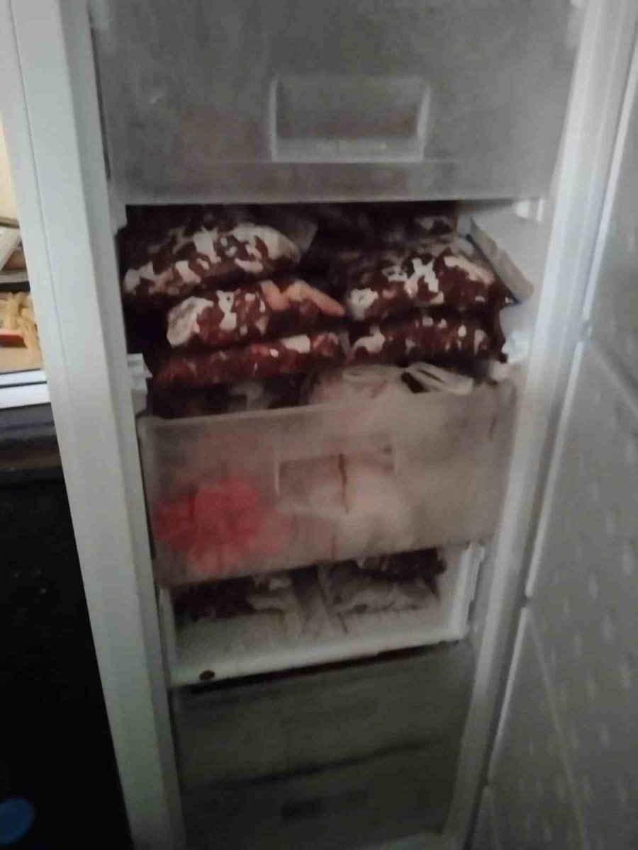 Antalya’da Yasa Dışı Avlanan 48 Kilo Yaban Keçisi Ve Kızıl Geyik Eti Buzdolabında Bulundu