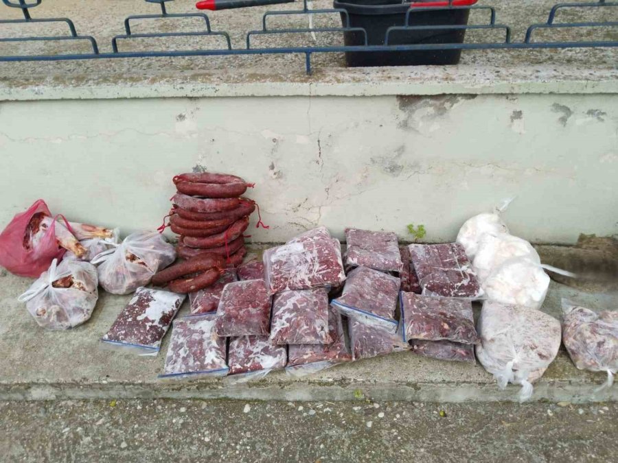 Antalya’da Yasa Dışı Avlanan 48 Kilo Yaban Keçisi Ve Kızıl Geyik Eti Buzdolabında Bulundu