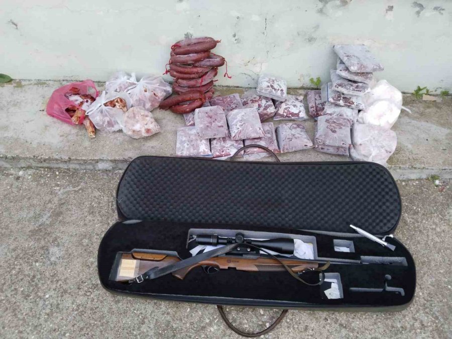 Antalya’da Yasa Dışı Avlanan 48 Kilo Yaban Keçisi Ve Kızıl Geyik Eti Buzdolabında Bulundu