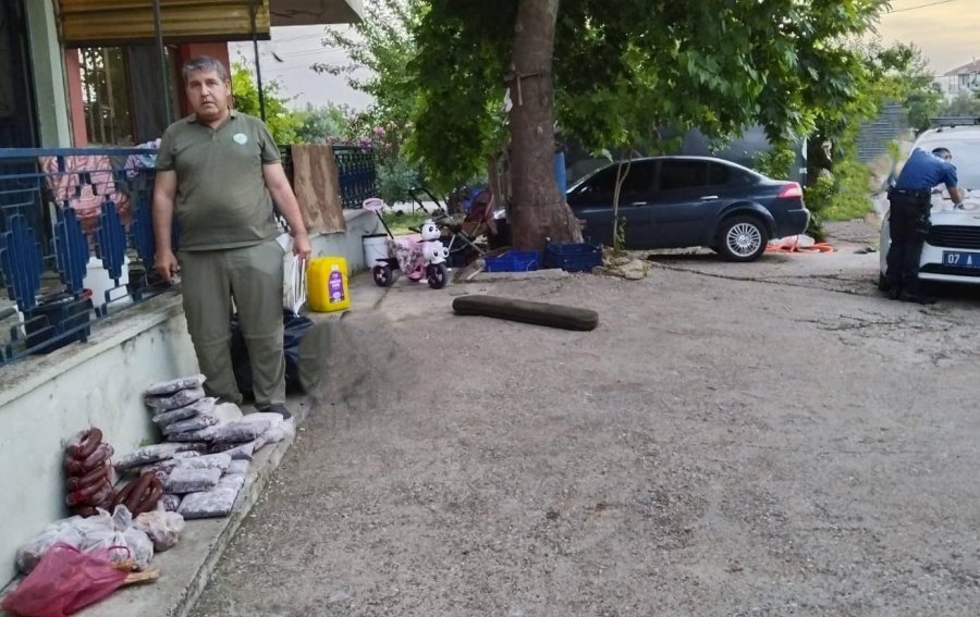 Antalya’da Yasa Dışı Avlanan 48 Kilo Yaban Keçisi Ve Kızıl Geyik Eti Buzdolabında Bulundu
