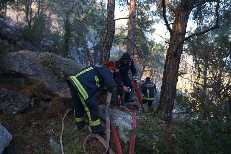 Büyükşehir İtfaiyesinden Orman Yangınına Müdahale Desteği