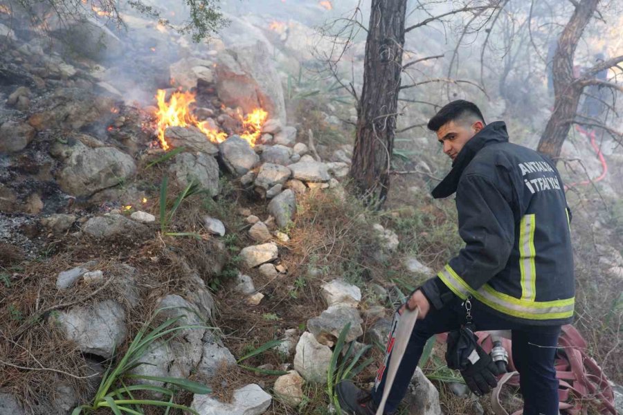 Büyükşehir İtfaiyesinden Orman Yangınına Müdahale Desteği