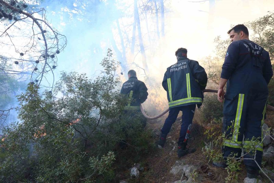 Büyükşehir İtfaiyesinden Orman Yangınına Müdahale Desteği