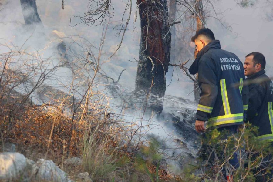 Büyükşehir İtfaiyesinden Orman Yangınına Müdahale Desteği