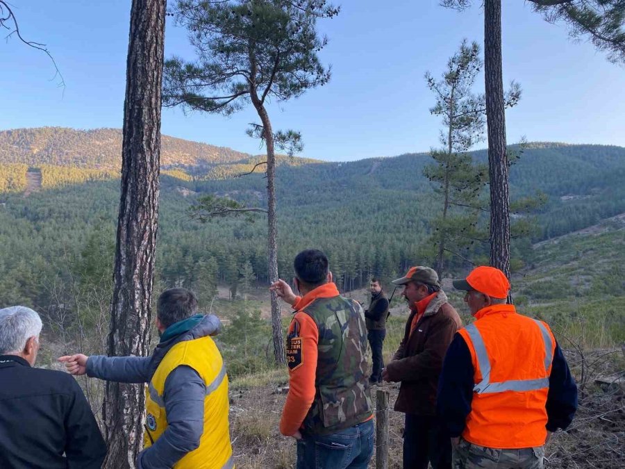 Tarsus’ta Sürek Avı