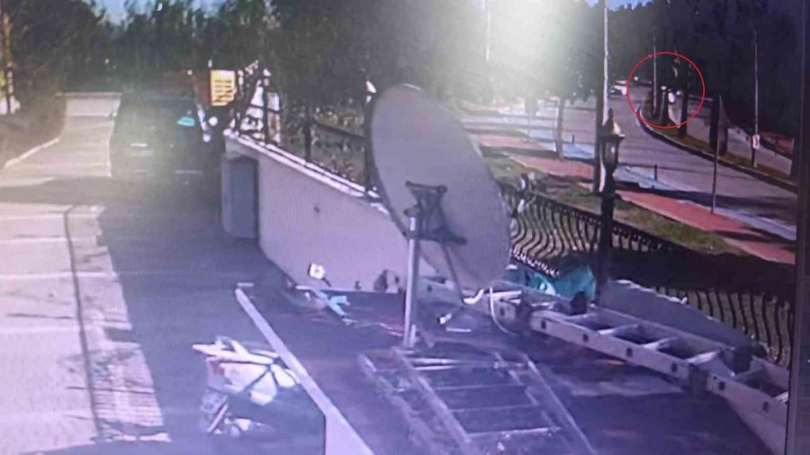 Kontrolden Çıkıp Palmiye Ağacına Çarptı, Otomobilin Plakası Ağaca Yapıştı