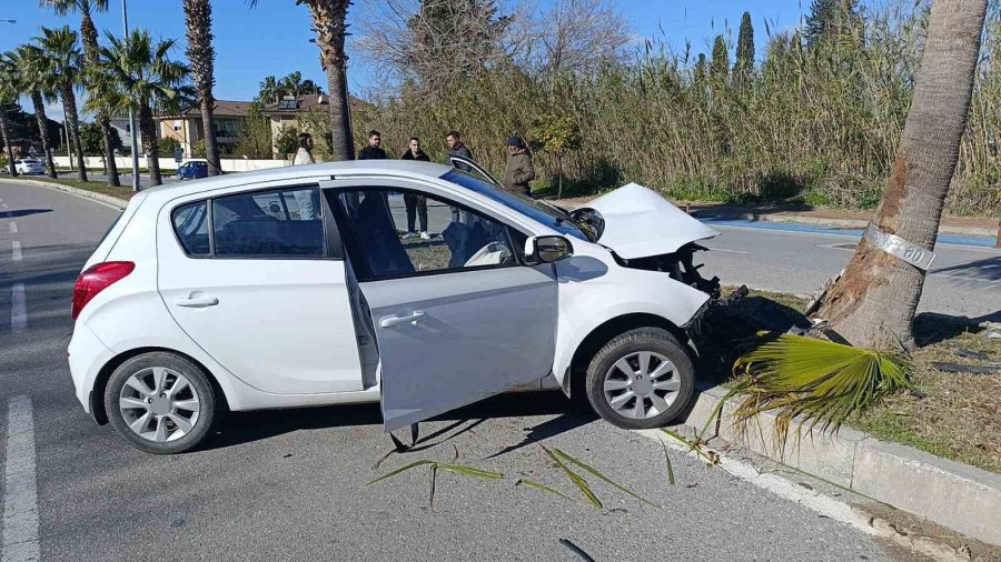 Kontrolden Çıkıp Palmiye Ağacına Çarptı, Otomobilin Plakası Ağaca Yapıştı