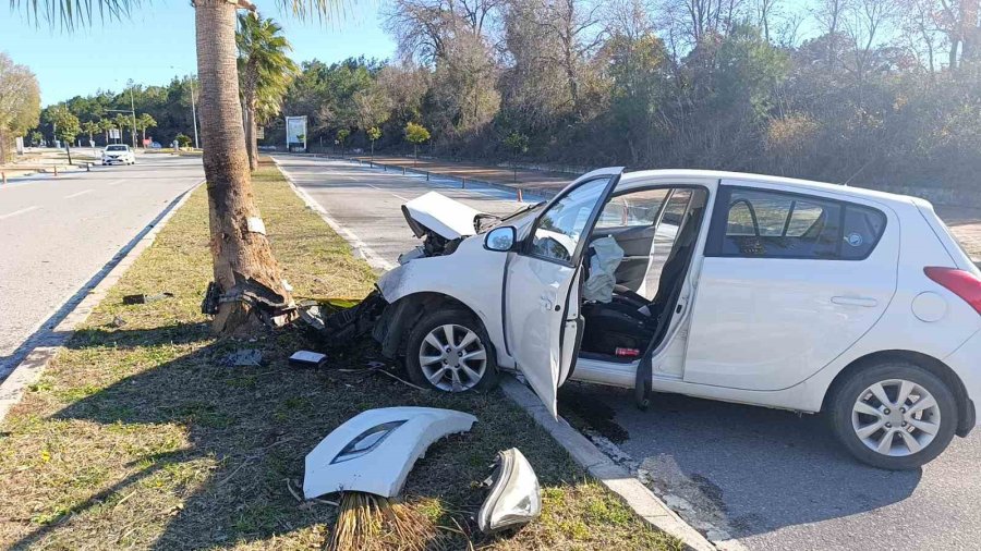 Kontrolden Çıkıp Palmiye Ağacına Çarptı, Otomobilin Plakası Ağaca Yapıştı