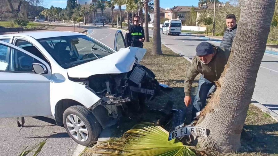 Kontrolden Çıkıp Palmiye Ağacına Çarptı, Otomobilin Plakası Ağaca Yapıştı