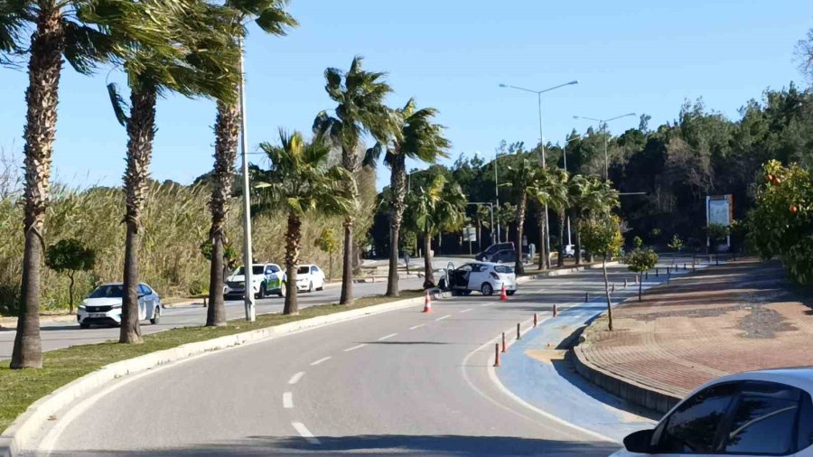 Kontrolden Çıkıp Palmiye Ağacına Çarptı, Otomobilin Plakası Ağaca Yapıştı