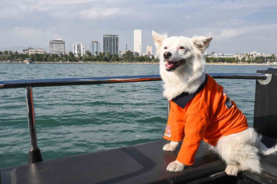 ’köpük’, Belediye Personeliyle Birlikte Deniz Kirliliğine Karşı Mücadele Ediyor