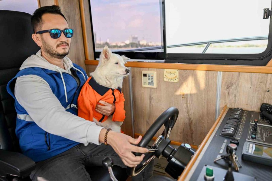 ’köpük’, Belediye Personeliyle Birlikte Deniz Kirliliğine Karşı Mücadele Ediyor