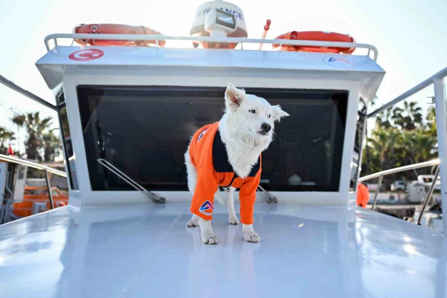 ’köpük’, Belediye Personeliyle Birlikte Deniz Kirliliğine Karşı Mücadele Ediyor