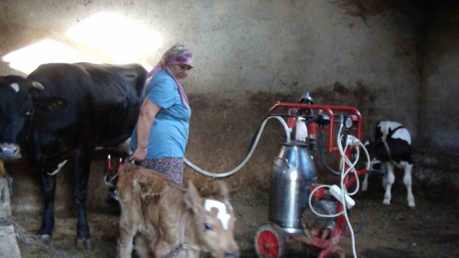 Yarım Asırdır Torosların Müzik Mirasını Yaşatıyor