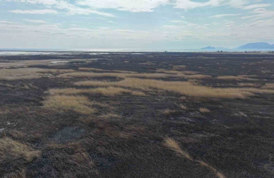 Kuş Cenneti Cehenneme Döndü, Bin Dönümlük Alan Yandı