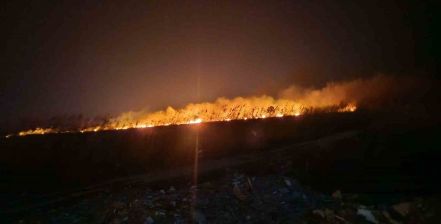 Kuş Cenneti Cehenneme Döndü, Bin Dönümlük Alan Yandı