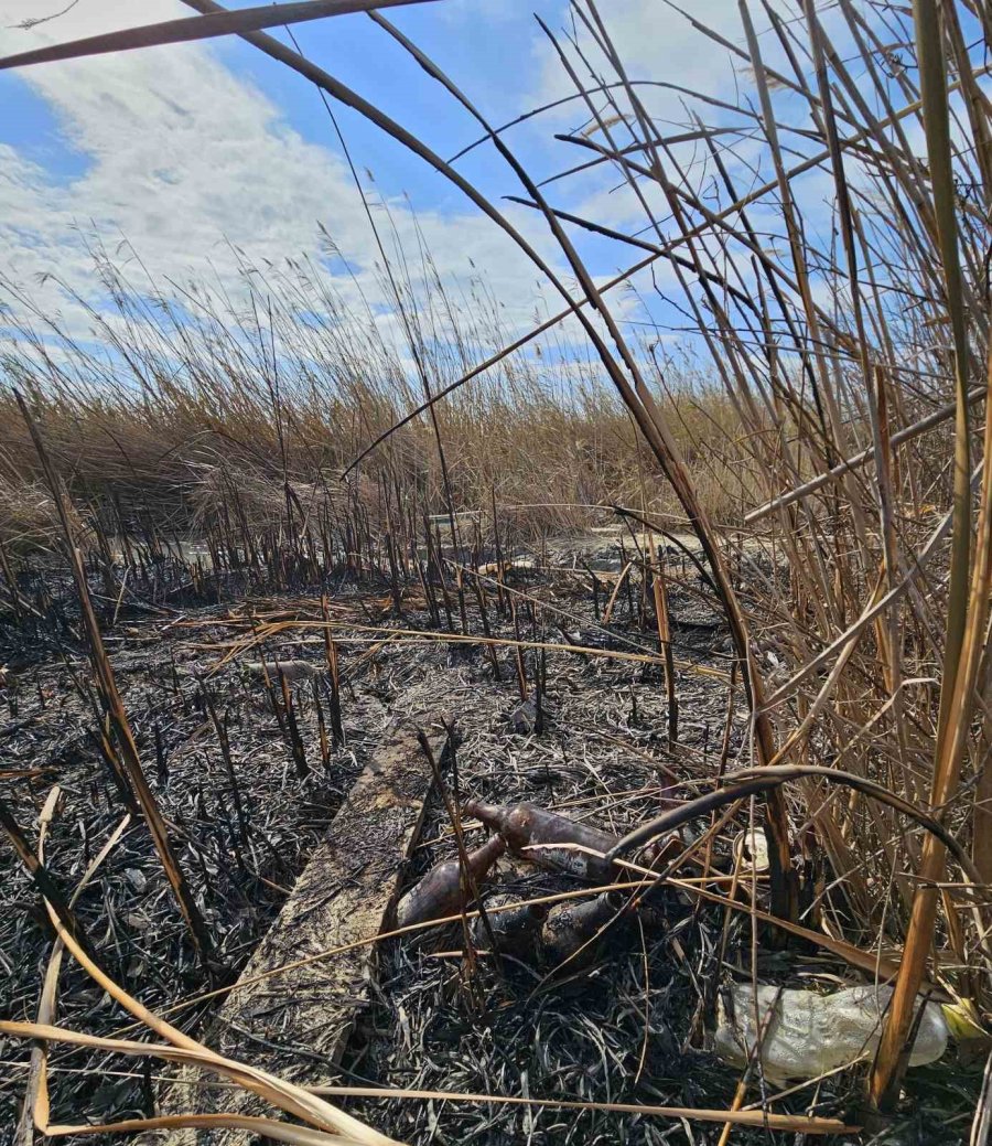 Kuş Cenneti Cehenneme Döndü, Bin Dönümlük Alan Yandı