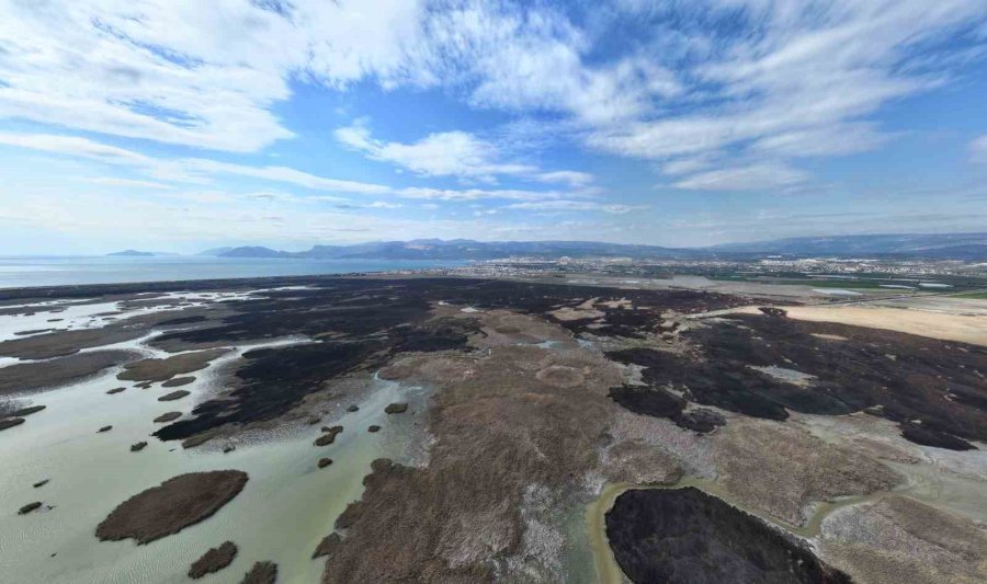 Kuş Cenneti Cehenneme Döndü, Bin Dönümlük Alan Yandı